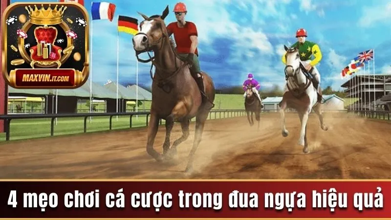 4 mẹo chơi cá cược trong đua ngựa hiệu quả