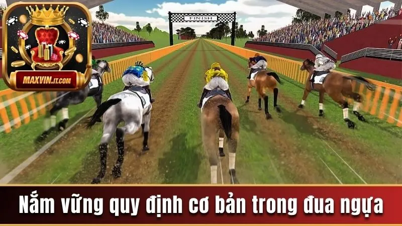 Nắm vững những quy định cơ bản trong đua ngựa